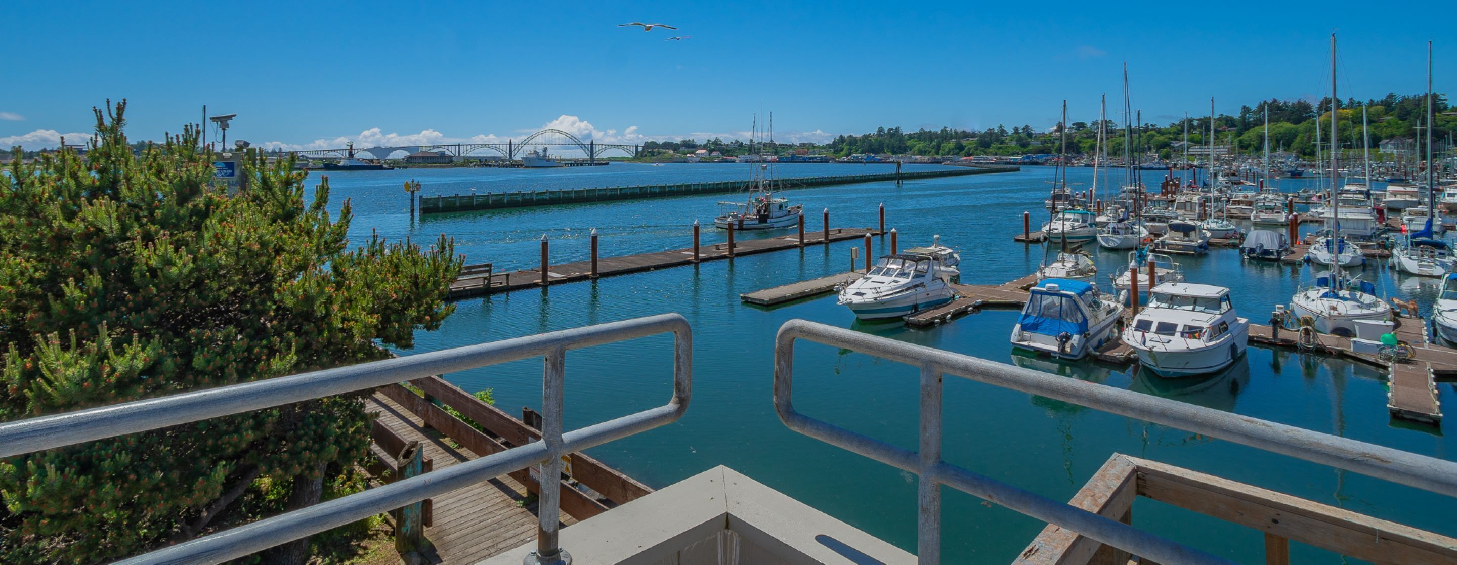 A marina with boats docked, a bridge in the background, and a clear sky.