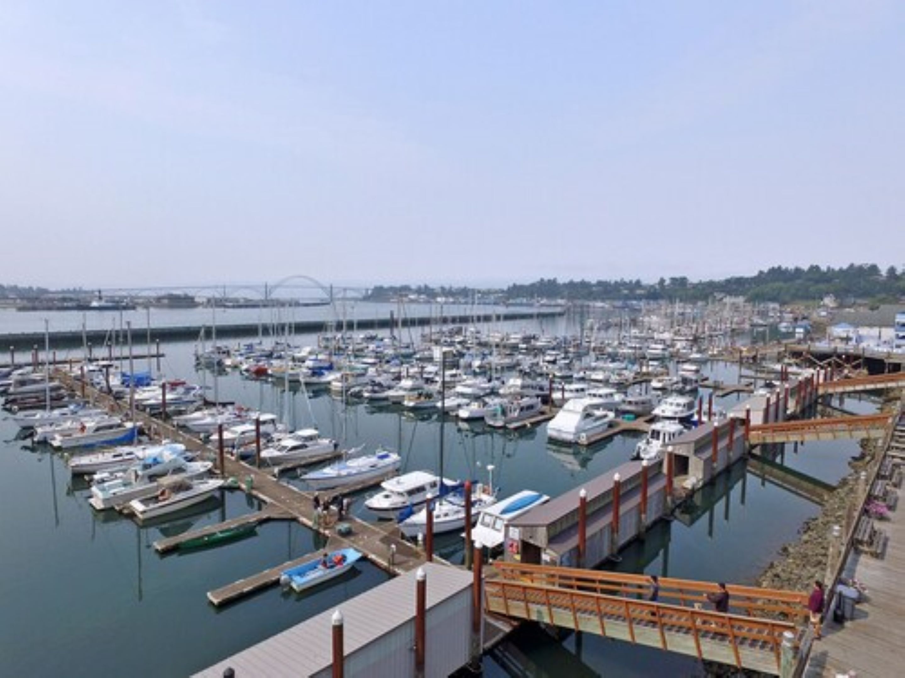 A marina with numerous boats docked, a pedestrian bridge, and a view of the water and distant land.