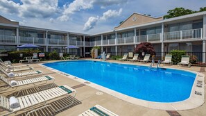 Outdoor pool, pool loungers