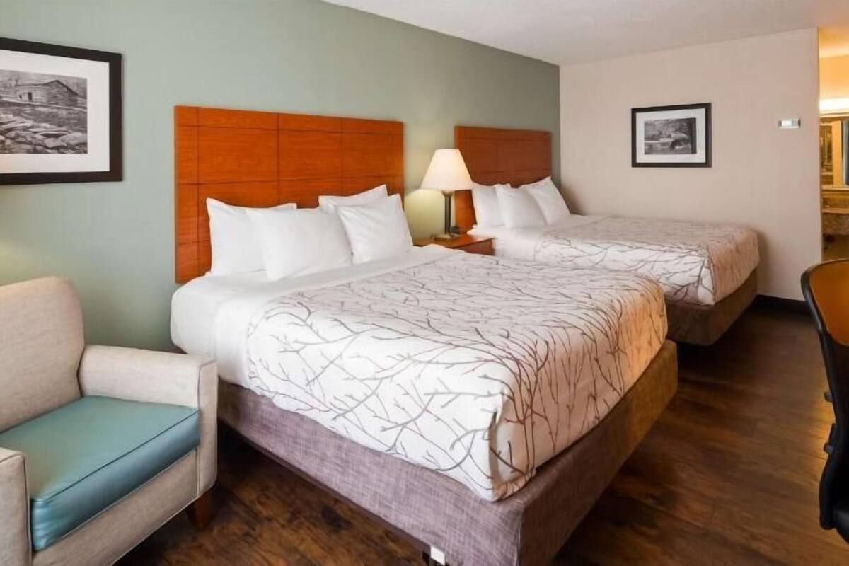 Una habitación de hotel con dos camas, un escritorio, una silla y un sofá.