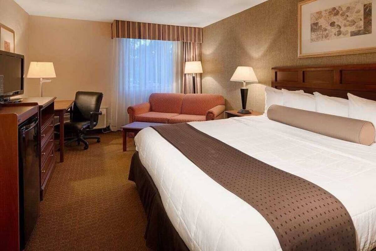 A hotel room with a large bed, a desk with a computer, a chair, a sofa, and a TV.
