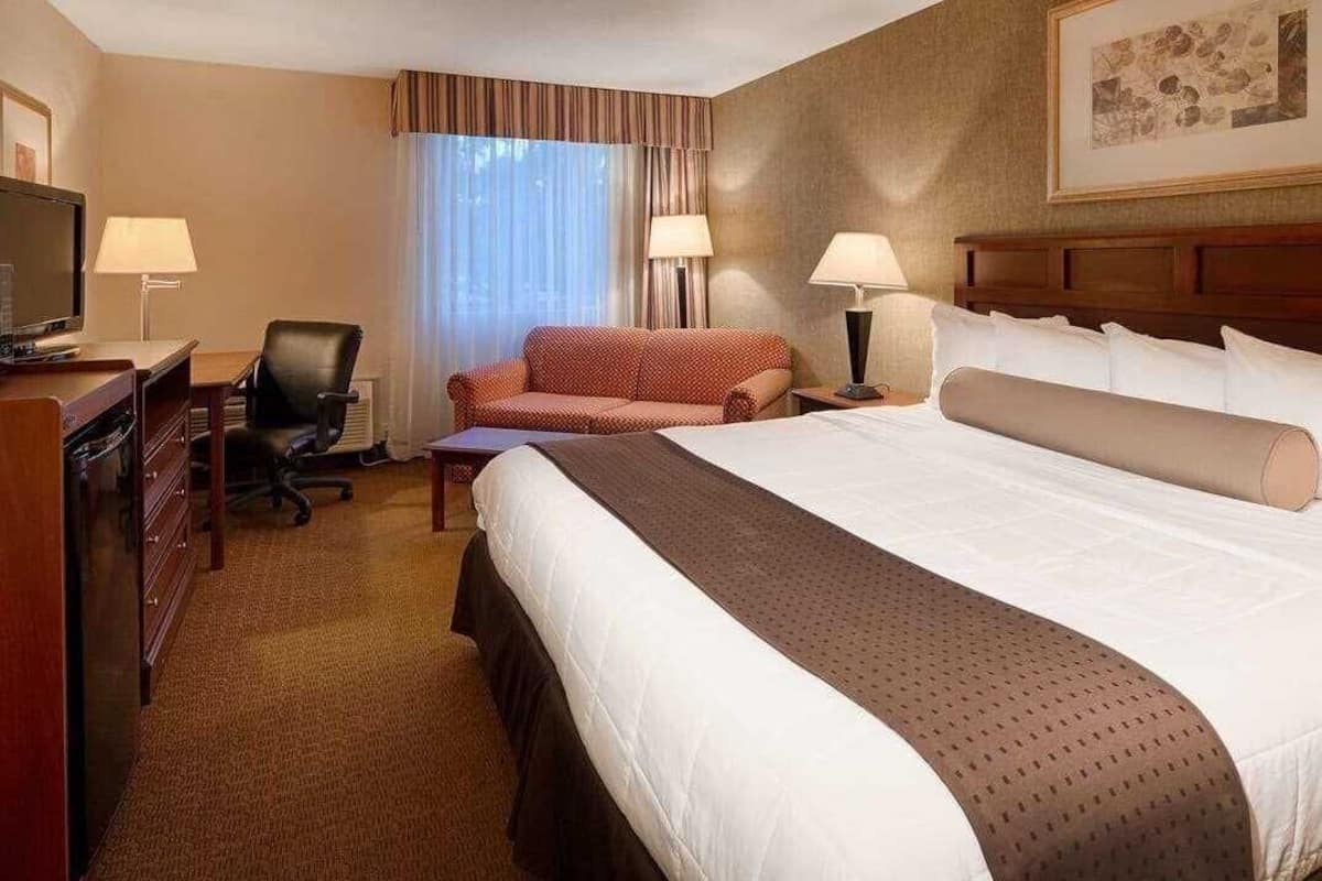 A hotel room with a large bed, a desk with a computer, a chair, a sofa, and a TV.