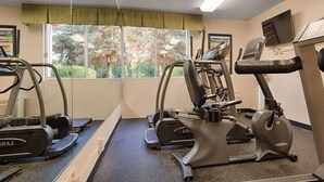 Uma academia com esteiras, elípticos e bicicletas ergométricas.