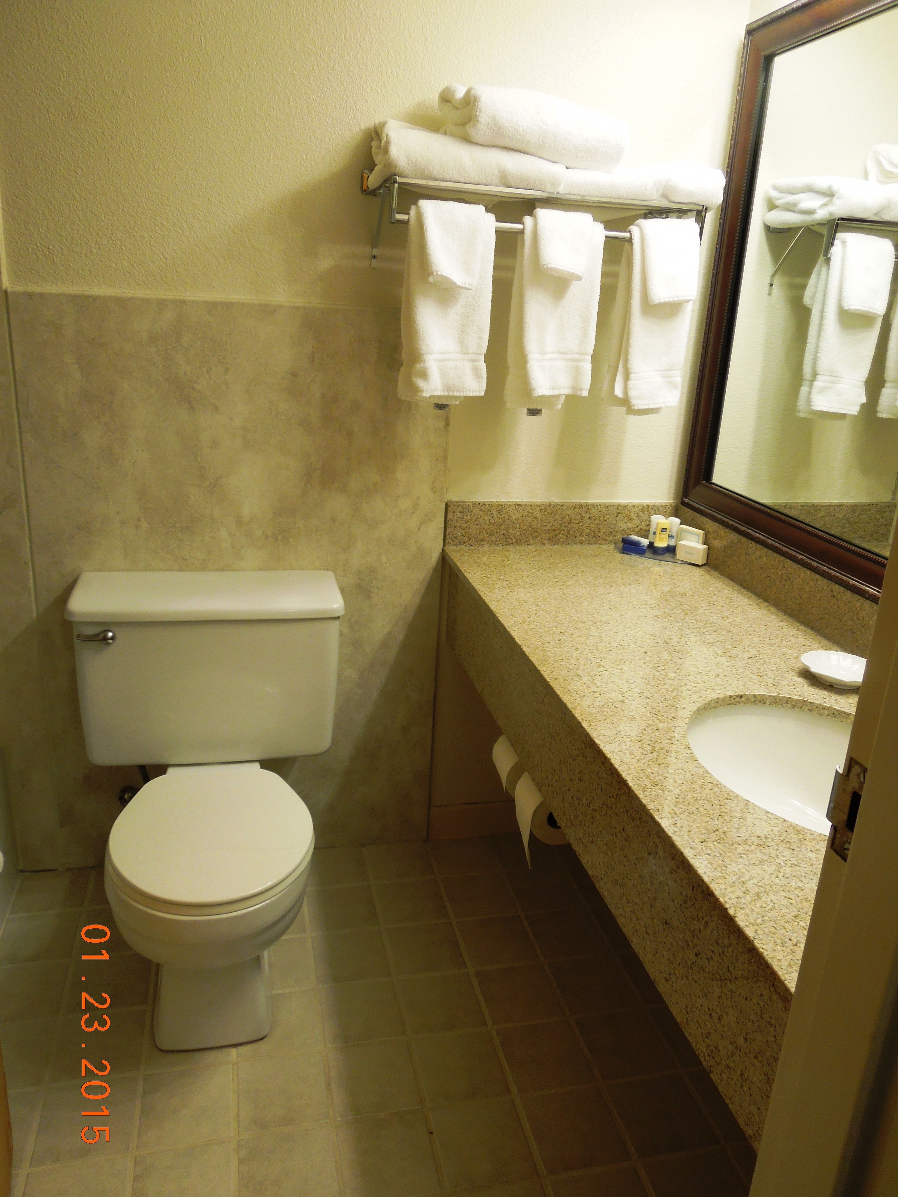A bathroom with a toilet, sink, and towel rack.