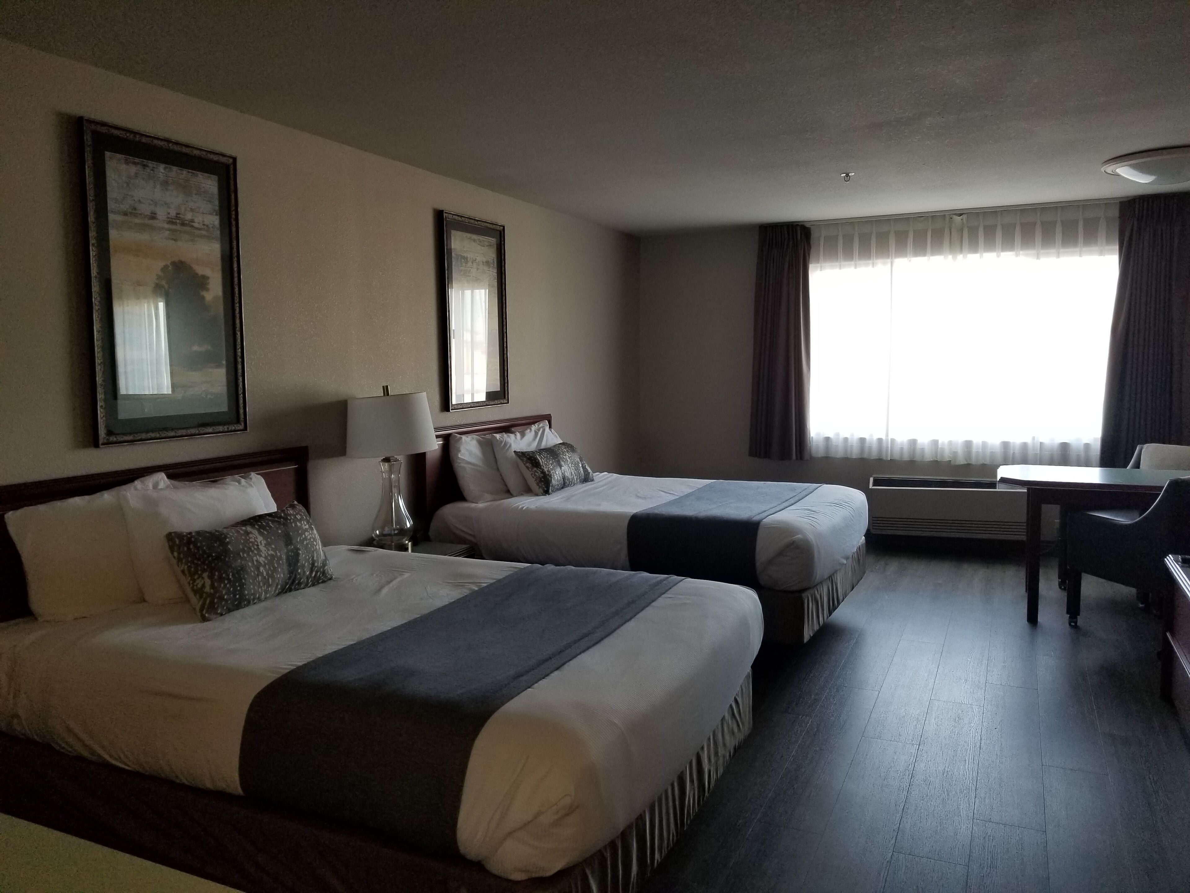 Desk, blackout drapes, iron/ironing board, free WiFi