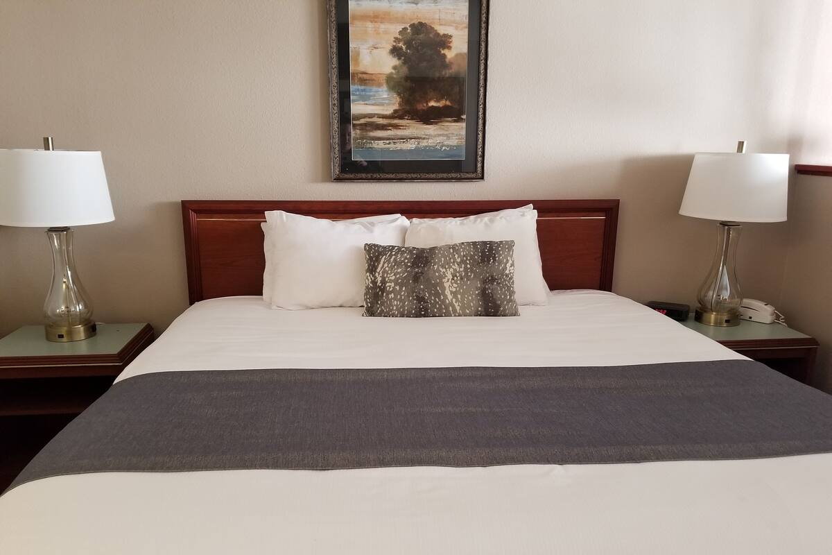 A hotel room with a large bed, two bedside tables with lamps, a framed painting on the wall, and a digital clock on one of the tables.