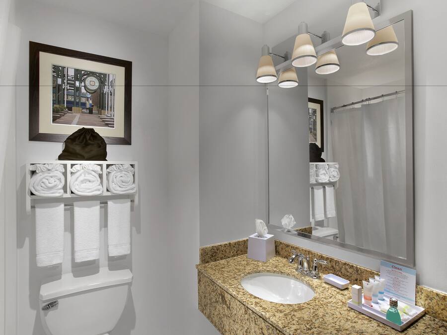 A modern bathroom with a granite sink, a large mirror, and a framed picture above the toilet.