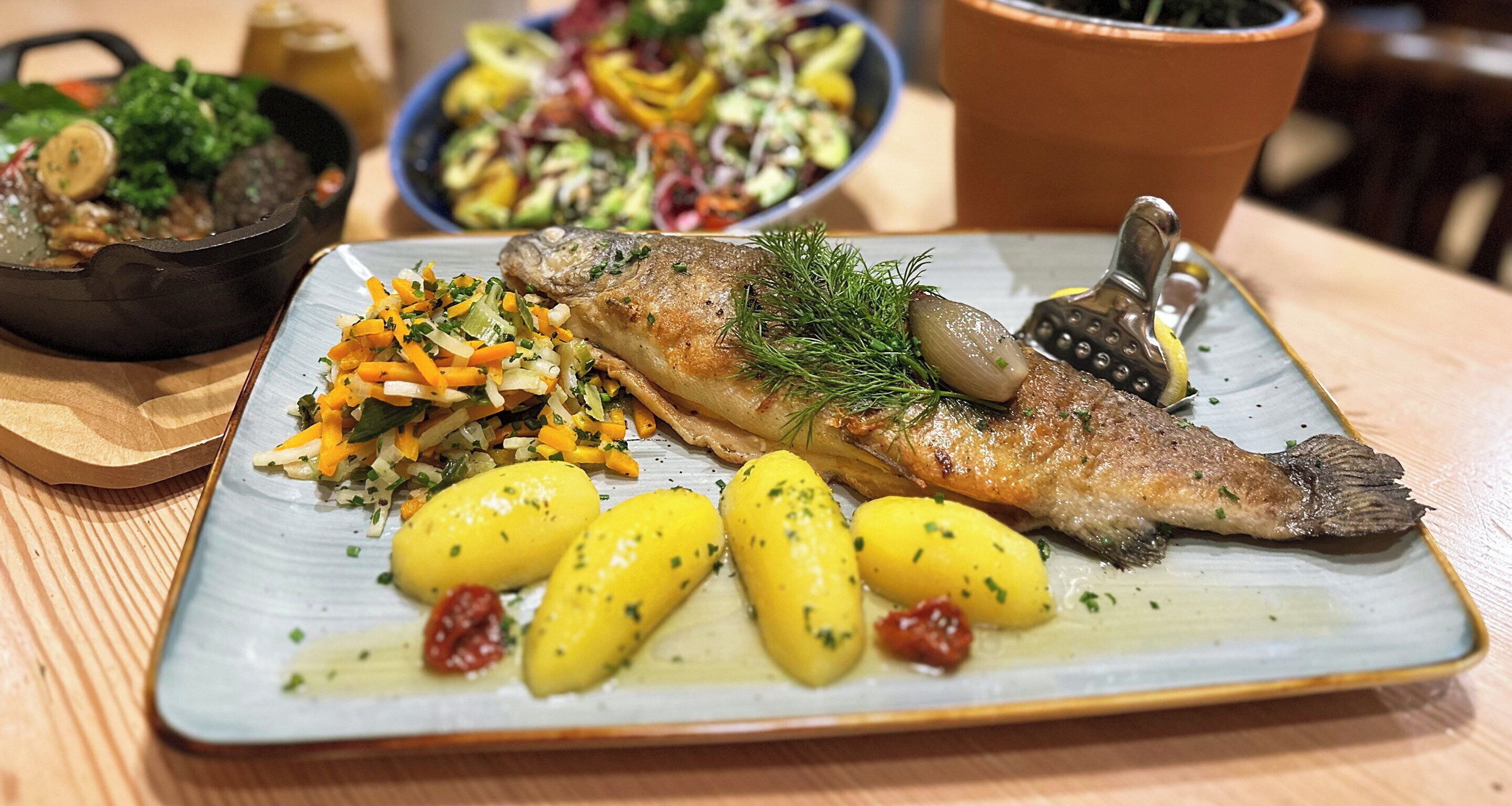 A plate with a fish, potatoes, and a salad.