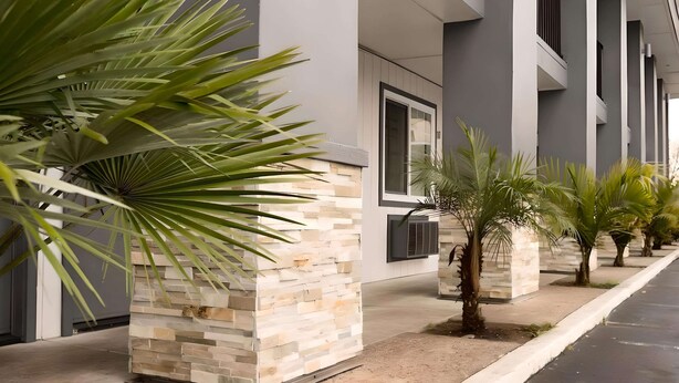 A modern building with a stone facade, palm trees, and a clean, paved walkway.