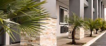 Rodeway Inn San Jose HWY-101 Tully Rd Exit