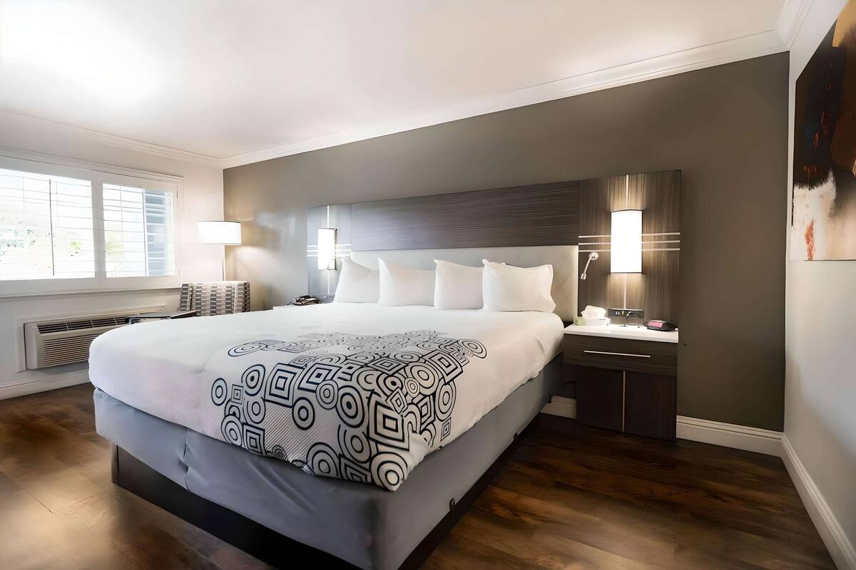 A modern bedroom with a large bed, bedside lamps, and a view of the outdoors.
