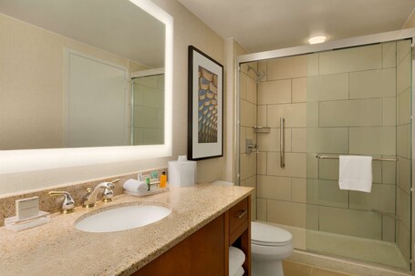 Hilton Chicago Magnificent Mile Suites - Image 6