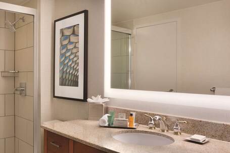 Hilton Chicago Magnificent Mile Suites - Image 16