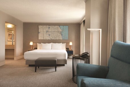 Hilton Chicago Magnificent Mile Suites - Image 44