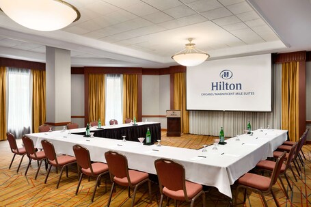 Hilton Chicago Magnificent Mile Suites - Image 23