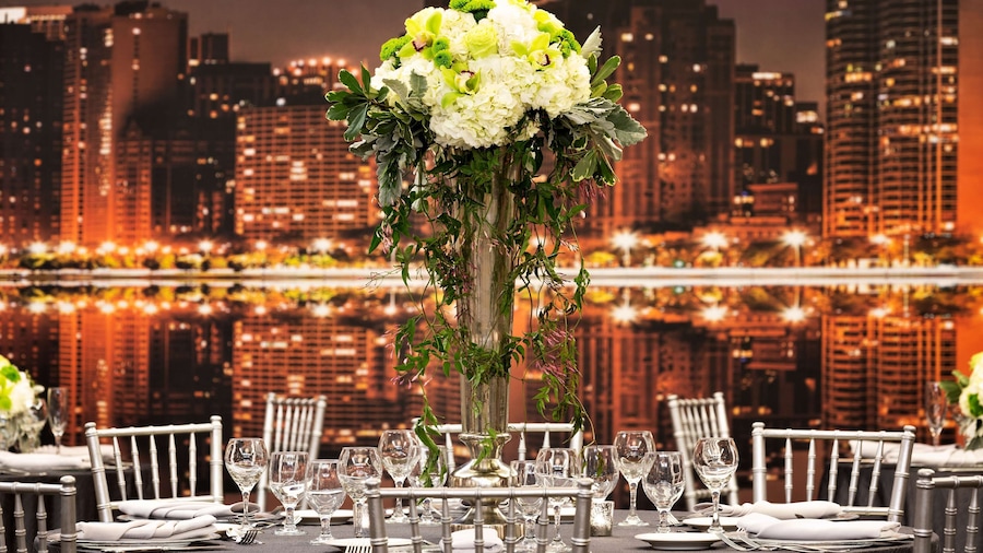Hilton Chicago/Magnificent Mile Suites