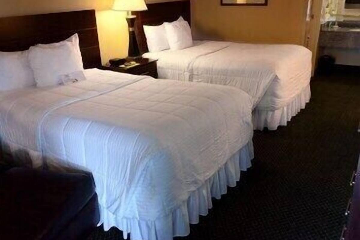 A hotel room with two beds, a nightstand, a lamp, and a window.