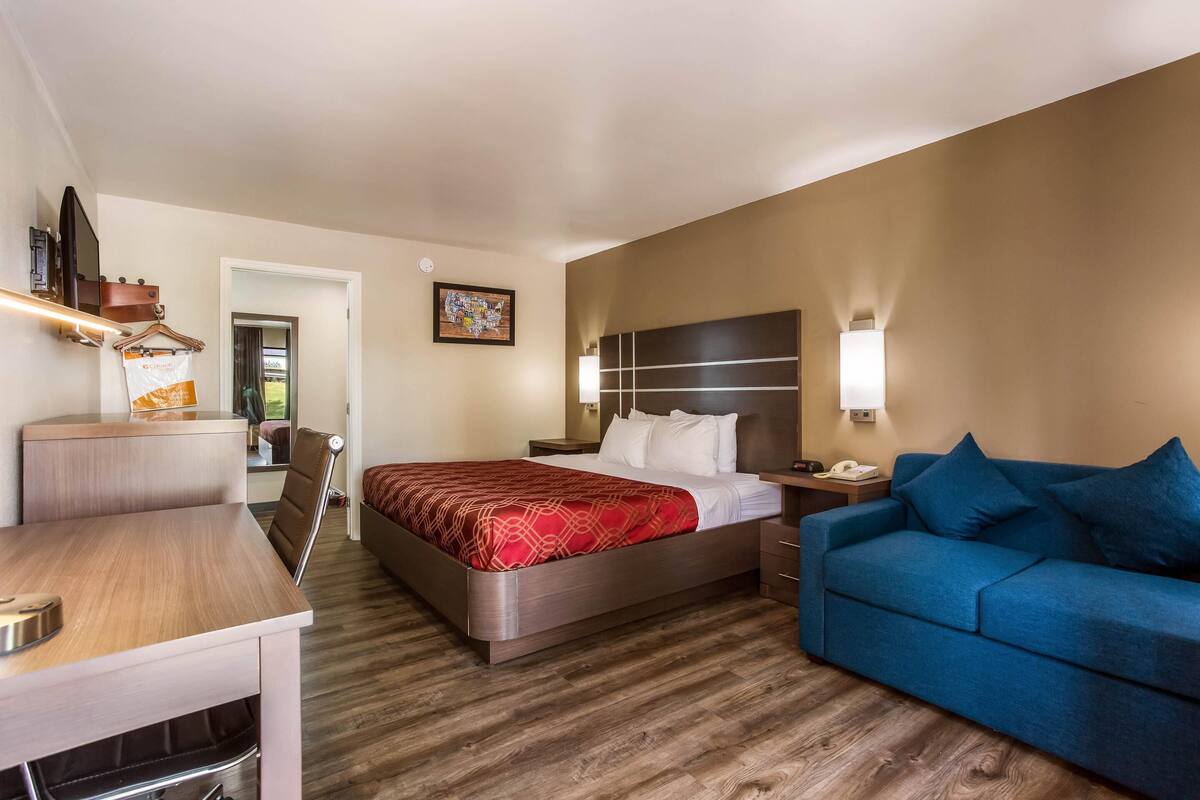 A hotel room with a bed, a blue sofa, a desk, and a nightstand.