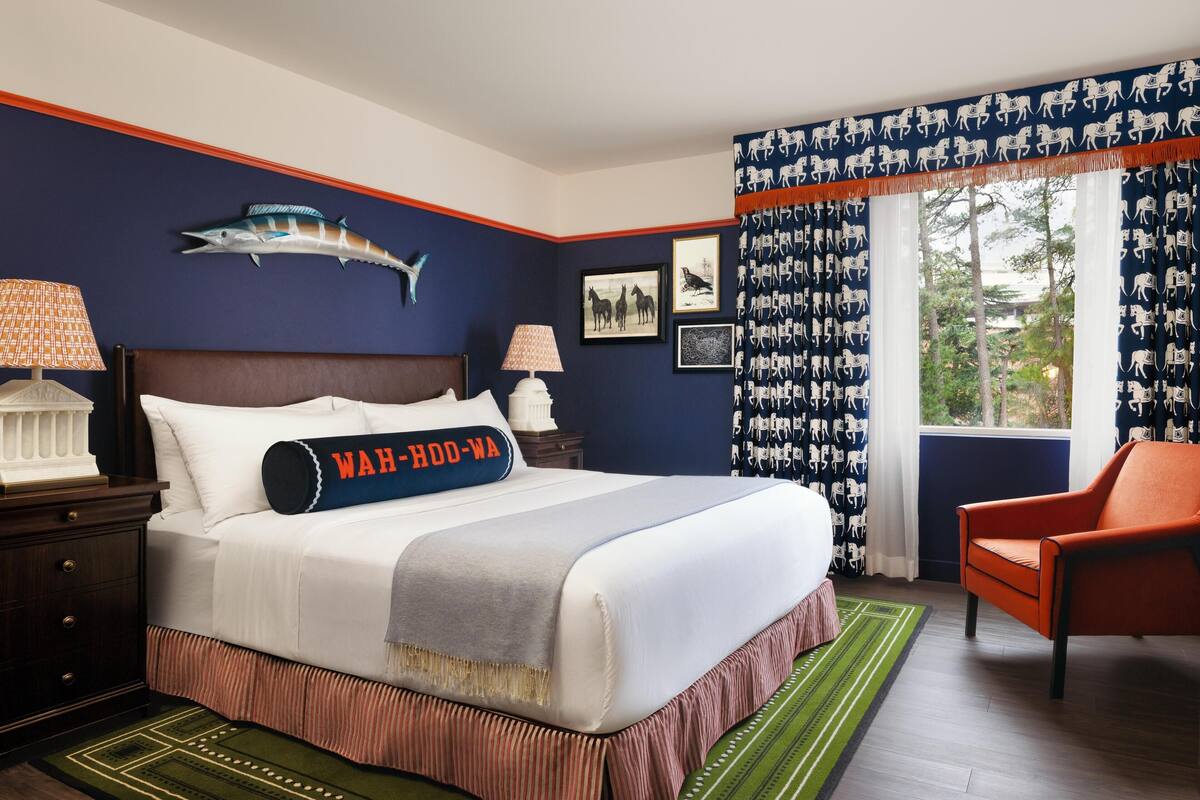 A hotel room with a large bed, a nightstand, a chair, a window with patterned curtains, and a wall-mounted shark decoration.