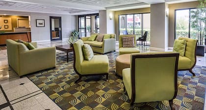 Comfort Inn & Suites Southwest Fwy at Westpark