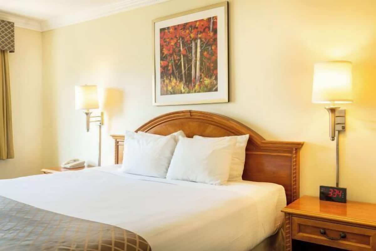 Desk, free WiFi, bed sheets, alarm clocks