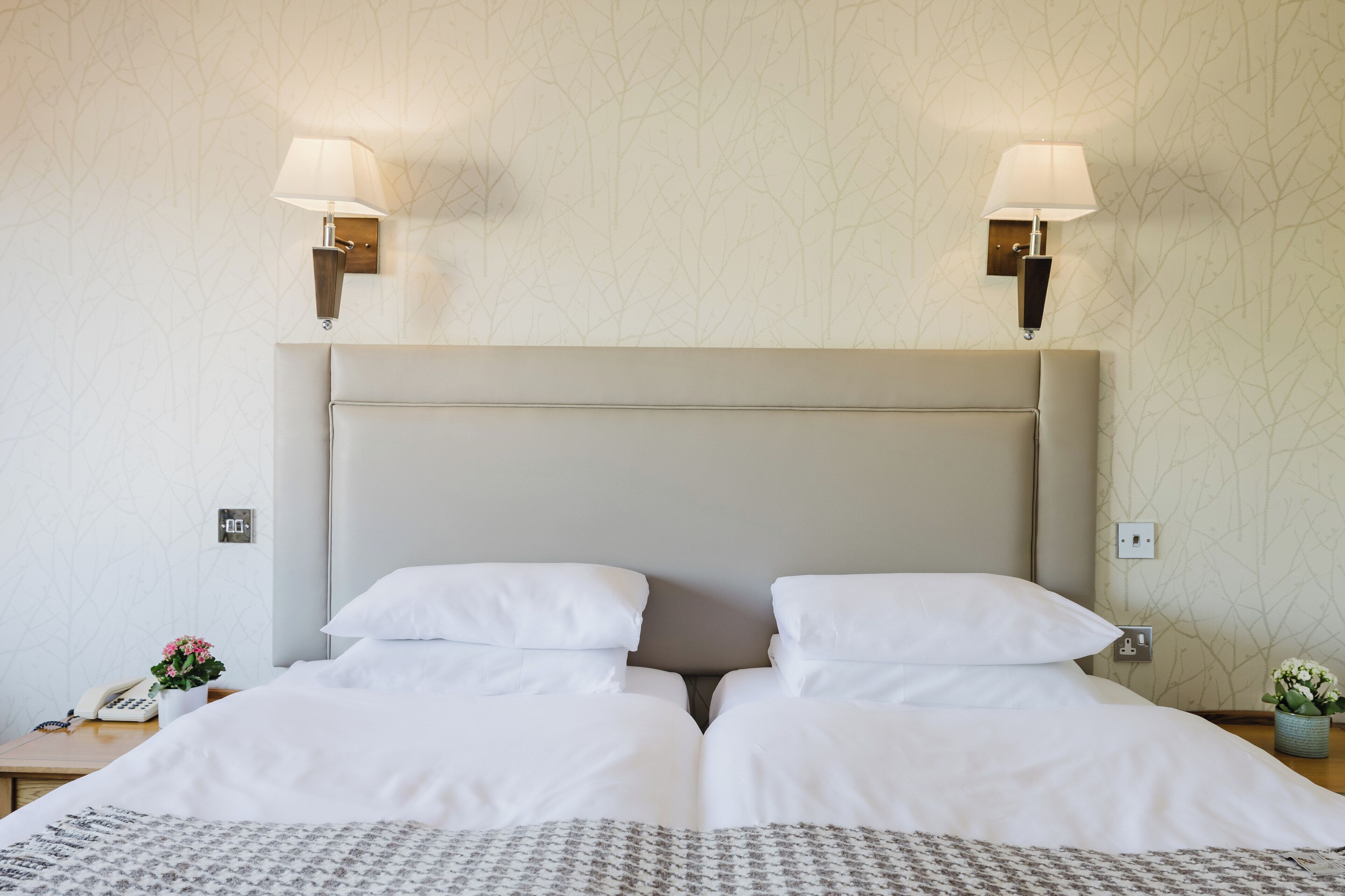 A double bed with white bedding, two wall-mounted lamps, and a small plant on the nightstand.