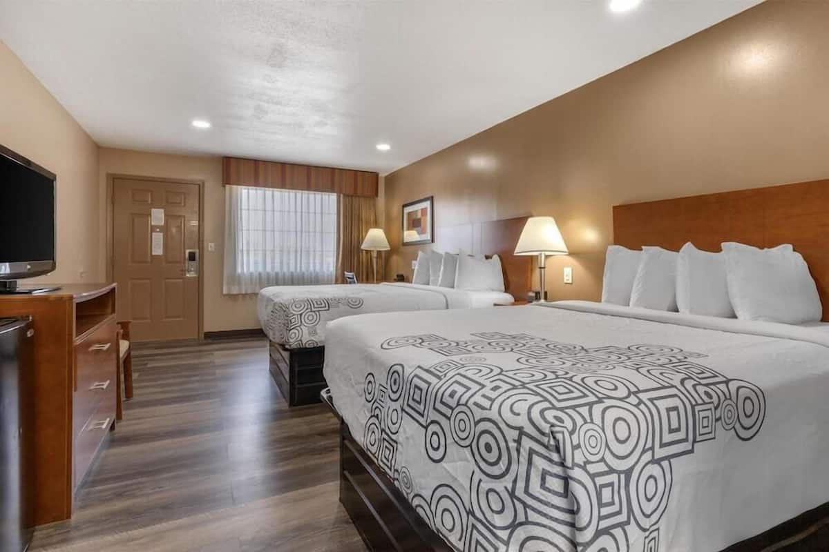 A hotel room with two beds, a desk with a television, and a window with blinds.