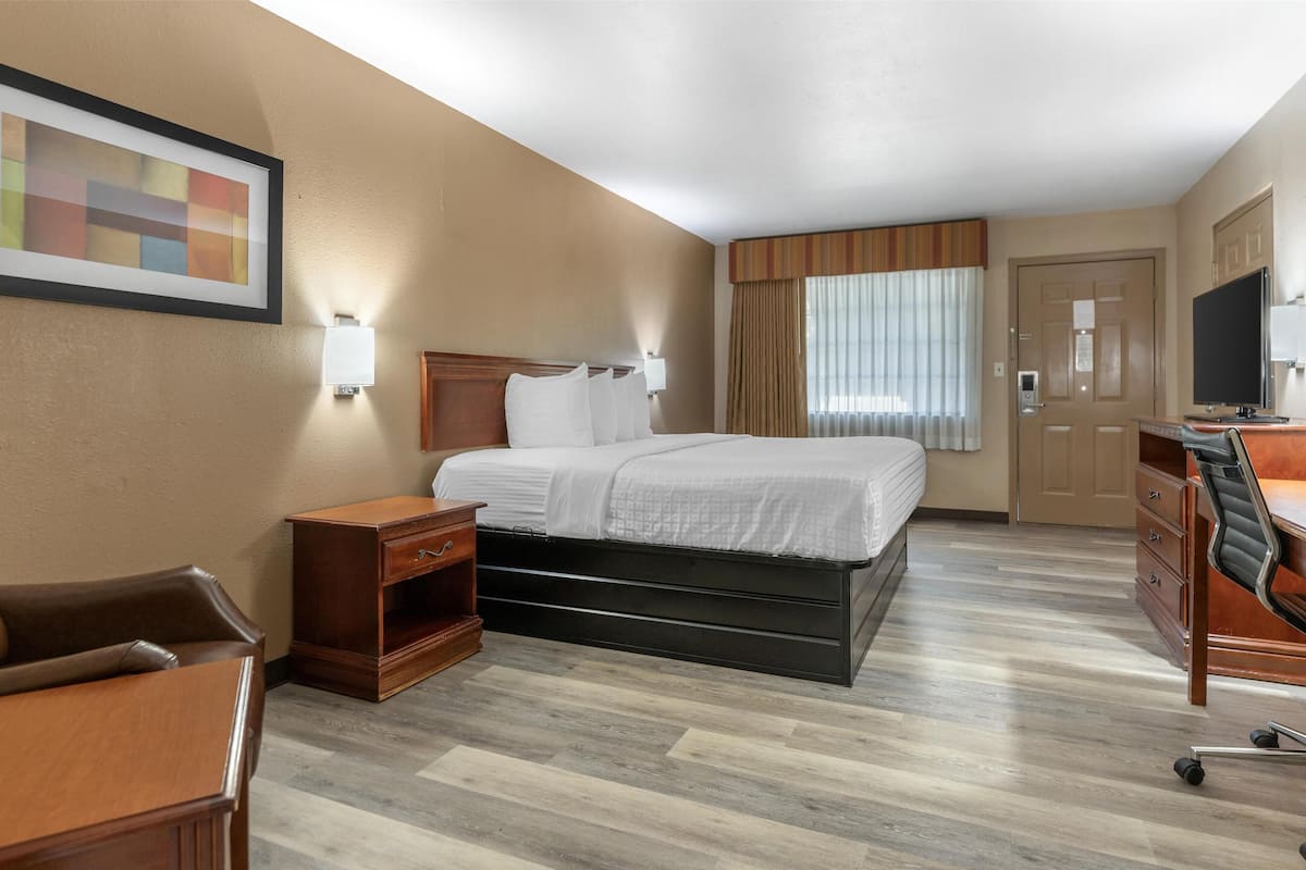 A hotel room with a bed, a desk, a chair, a TV, and a window with curtains.