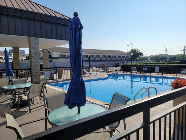 Outdoor pool, pool umbrellas, sun loungers