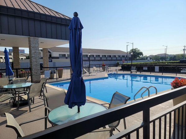 Outdoor pool, pool umbrellas, sun loungers