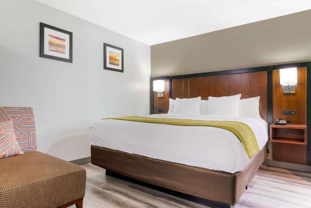 Deluxe Room, 1 King Bed, Non Smoking