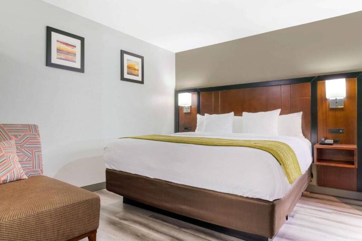 A hotel room with a large bed, a bedside table, a chair, and two framed pictures on the wall.