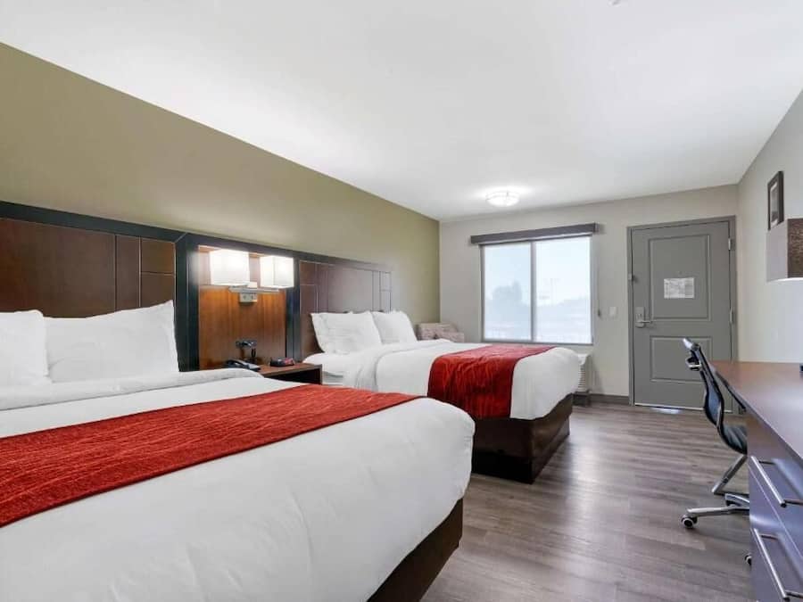 Standard Room, 2 Queen Beds, Non Smoking | In-room safe, desk, iron/ironing board, free WiFi