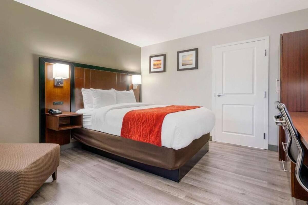 A hotel room with a bed, bedside table, lamp, and a door.