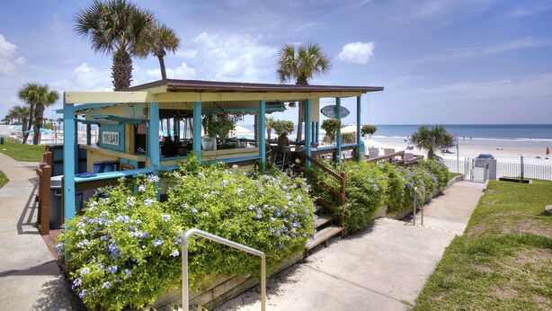Un petit kiosque situé au bord de la plage, doté d’un espace de repos abrité, entouré d’une végétation luxuriante et de palmiers, et offrant une vue sur la plage.