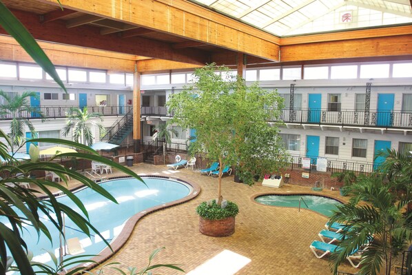 An indoor swimming pool area with multiple pools, lounge chairs, and a central tree.