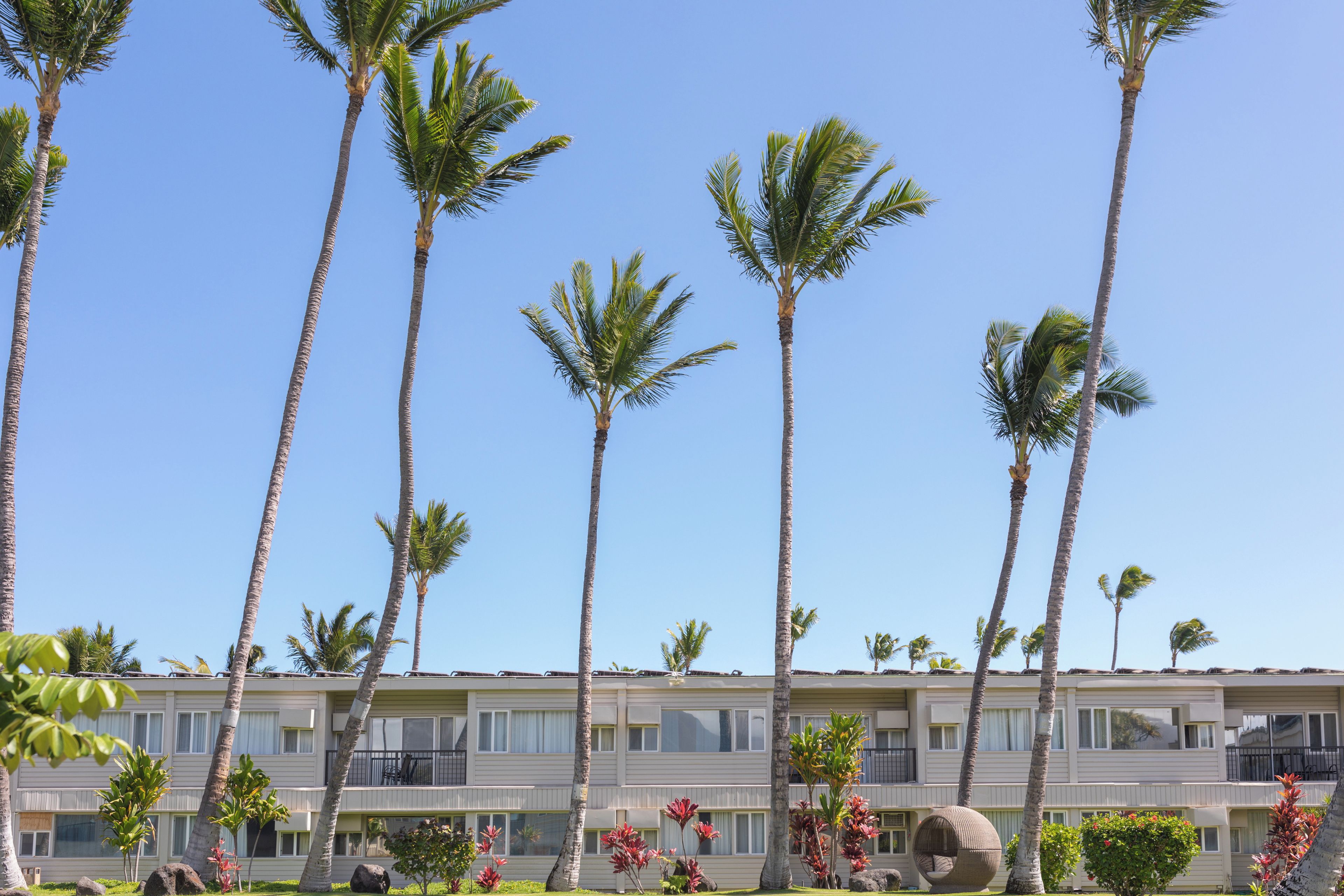 A hotel with multiple-story buildings, palm trees, and a clear blue sky.