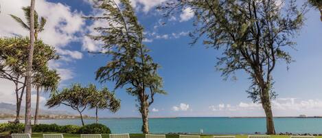 A beachfront with white lounge chairs and trees.