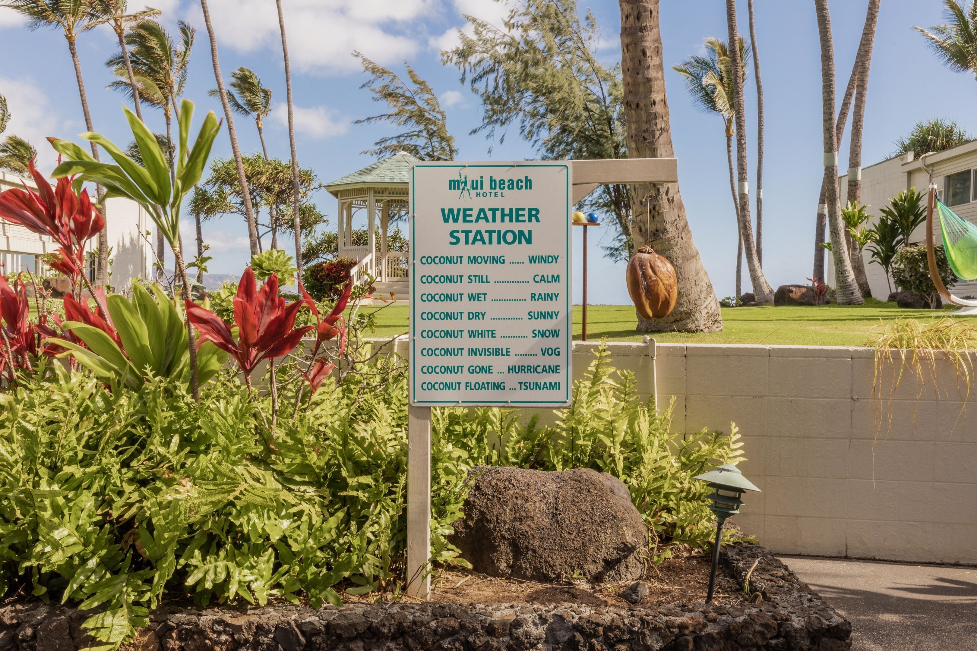 Foto - Maui Beach Hotel