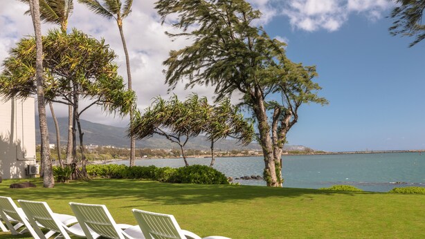 A grassy area with white lounge chairs, palm trees, and a view of the ocean. - Maui Beach Hotel (Kahului)