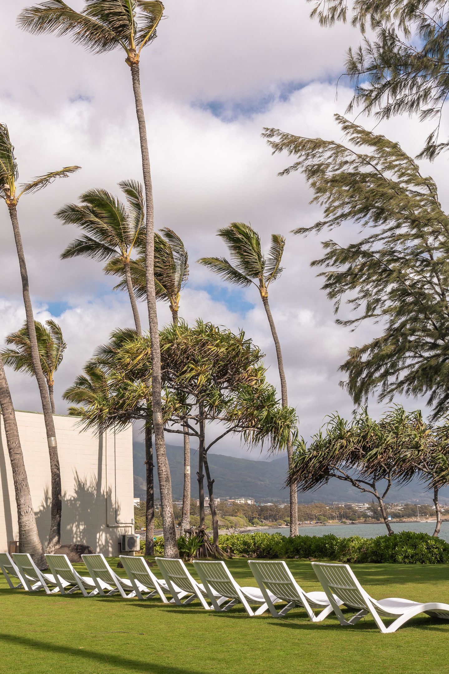 Photo - Maui Beach Hotel
