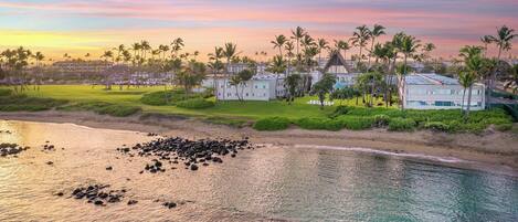 A resort with beachfront properties, palm trees, and a clear sky.