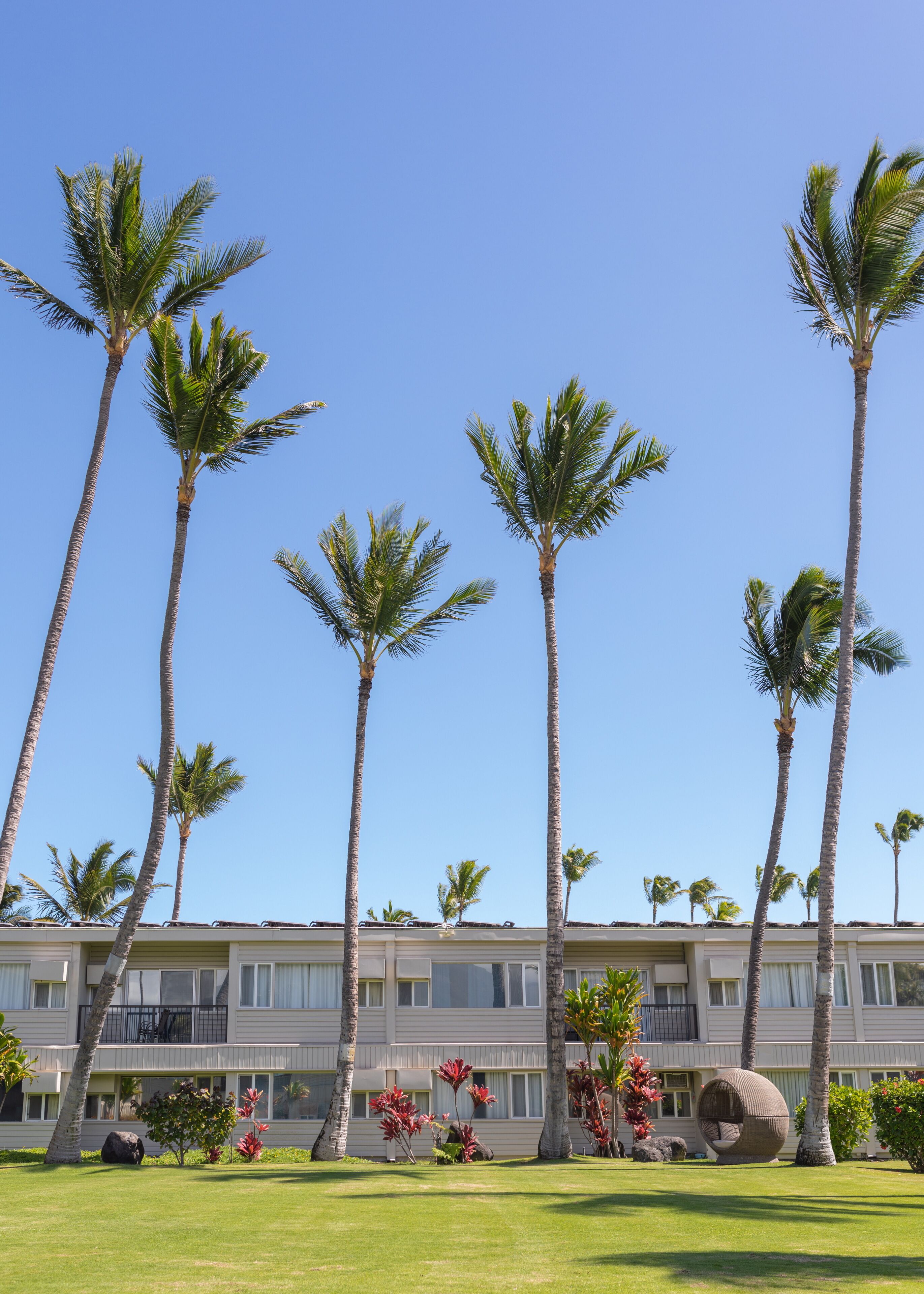 Photo - Maui Beach Hotel