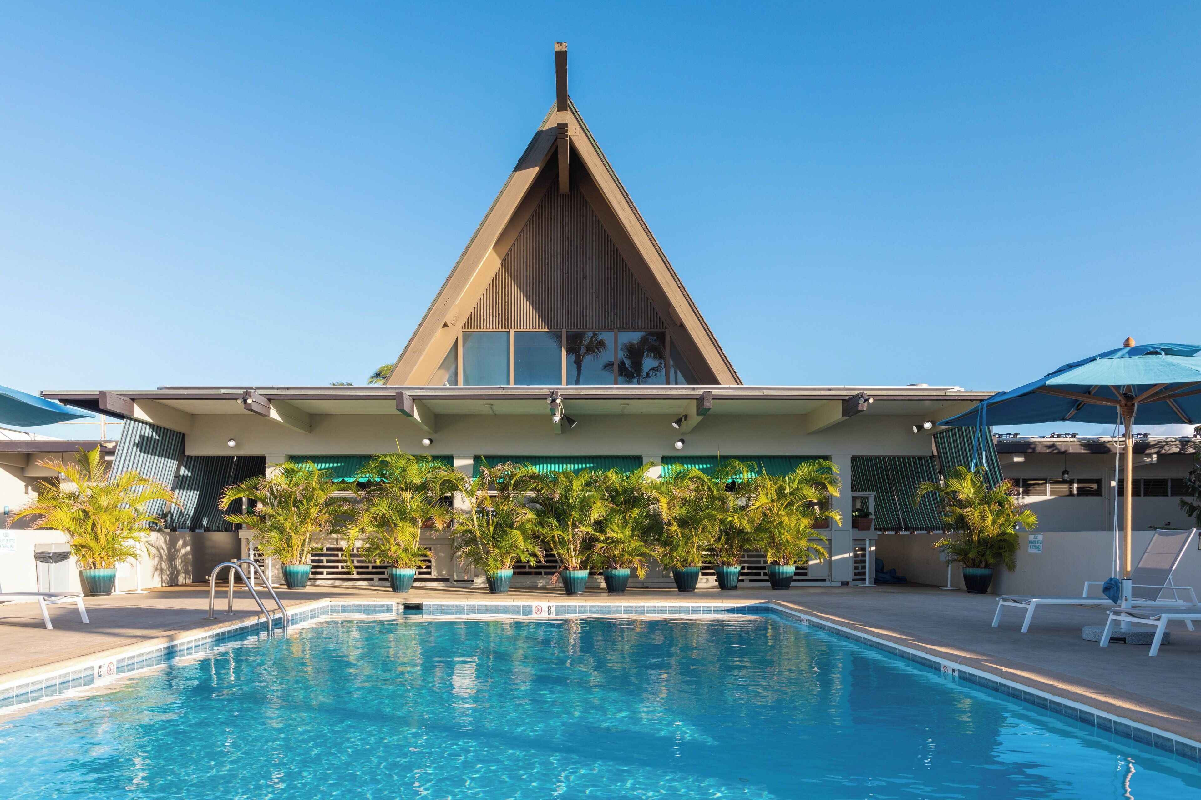 outdoor pool, pool loungers