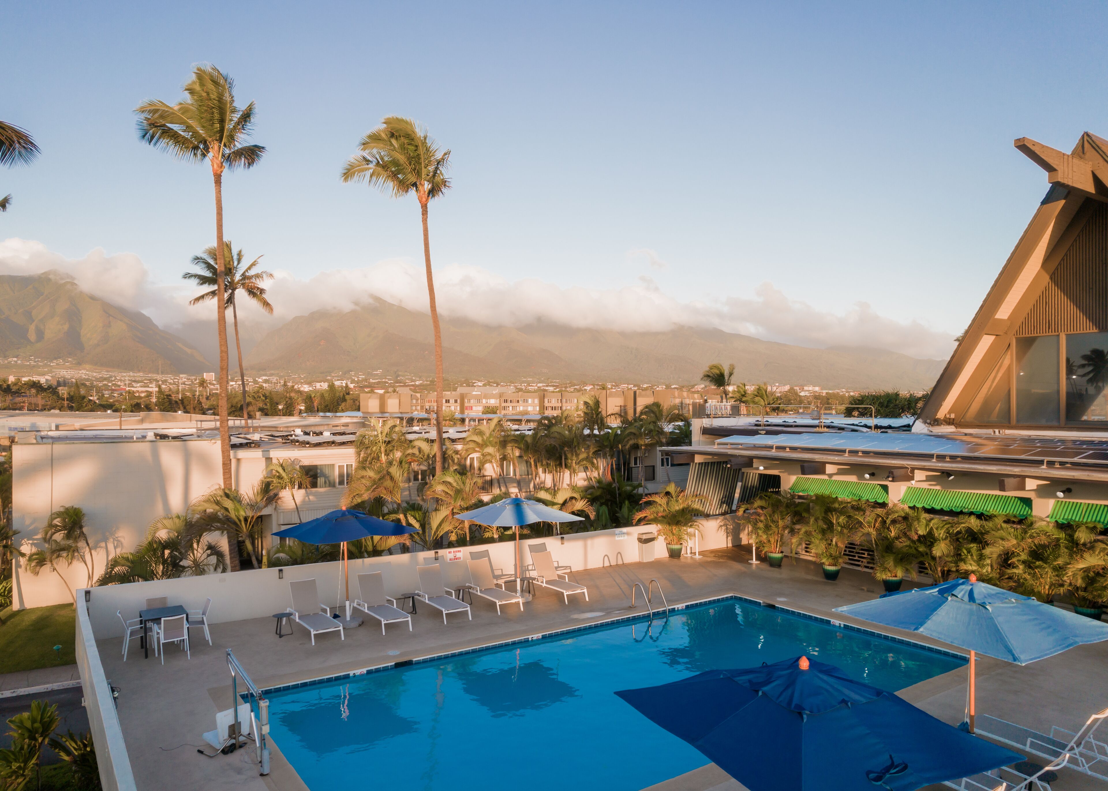Outdoor pool, sun loungers