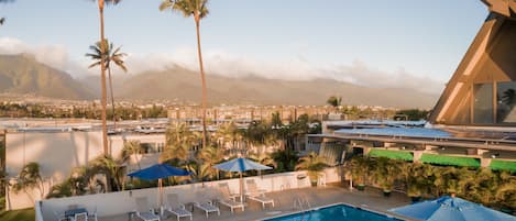 Outdoor pool, sun loungers