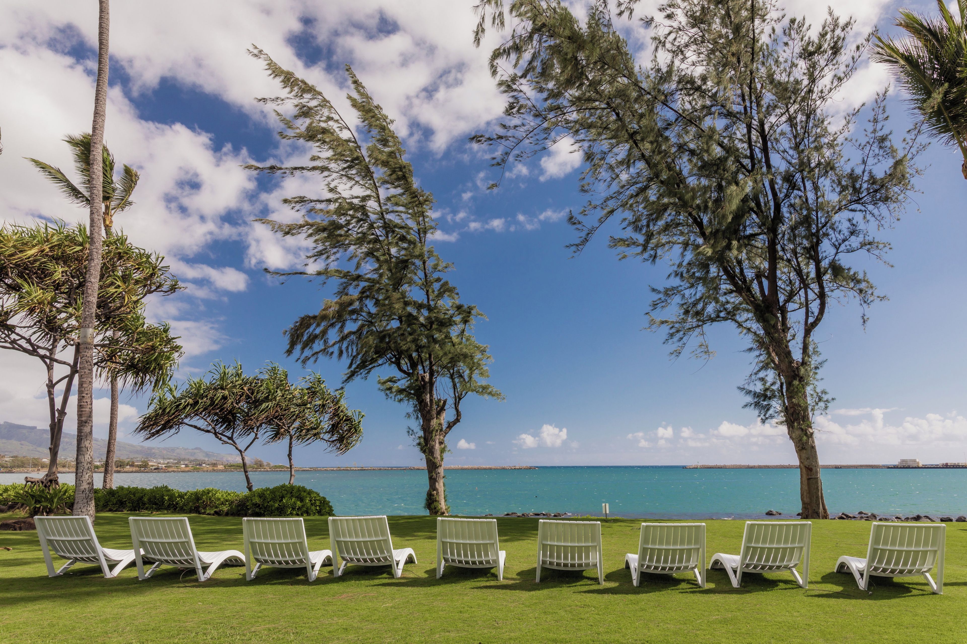 A beachfront with white lounge chairs arranged on the grass, overlooking the sea.