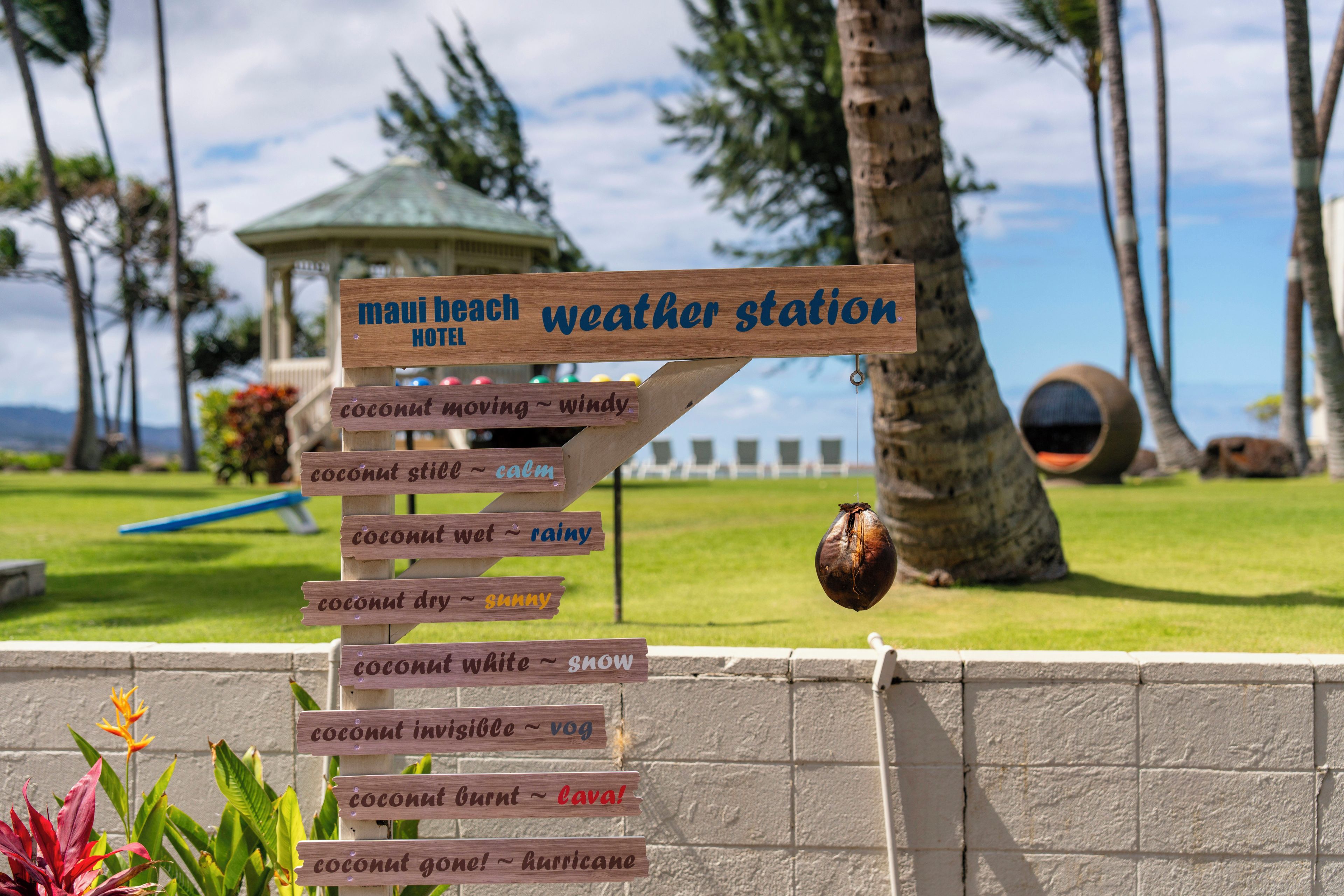 A wooden sign with weather-related phrases and a coconut hanging from it.