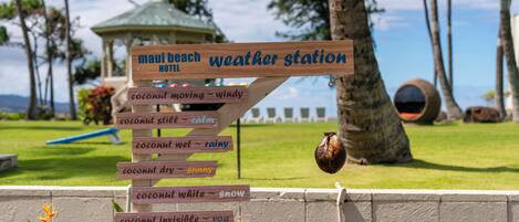 A wooden sign with weather-related phrases and a coconut hanging from it.