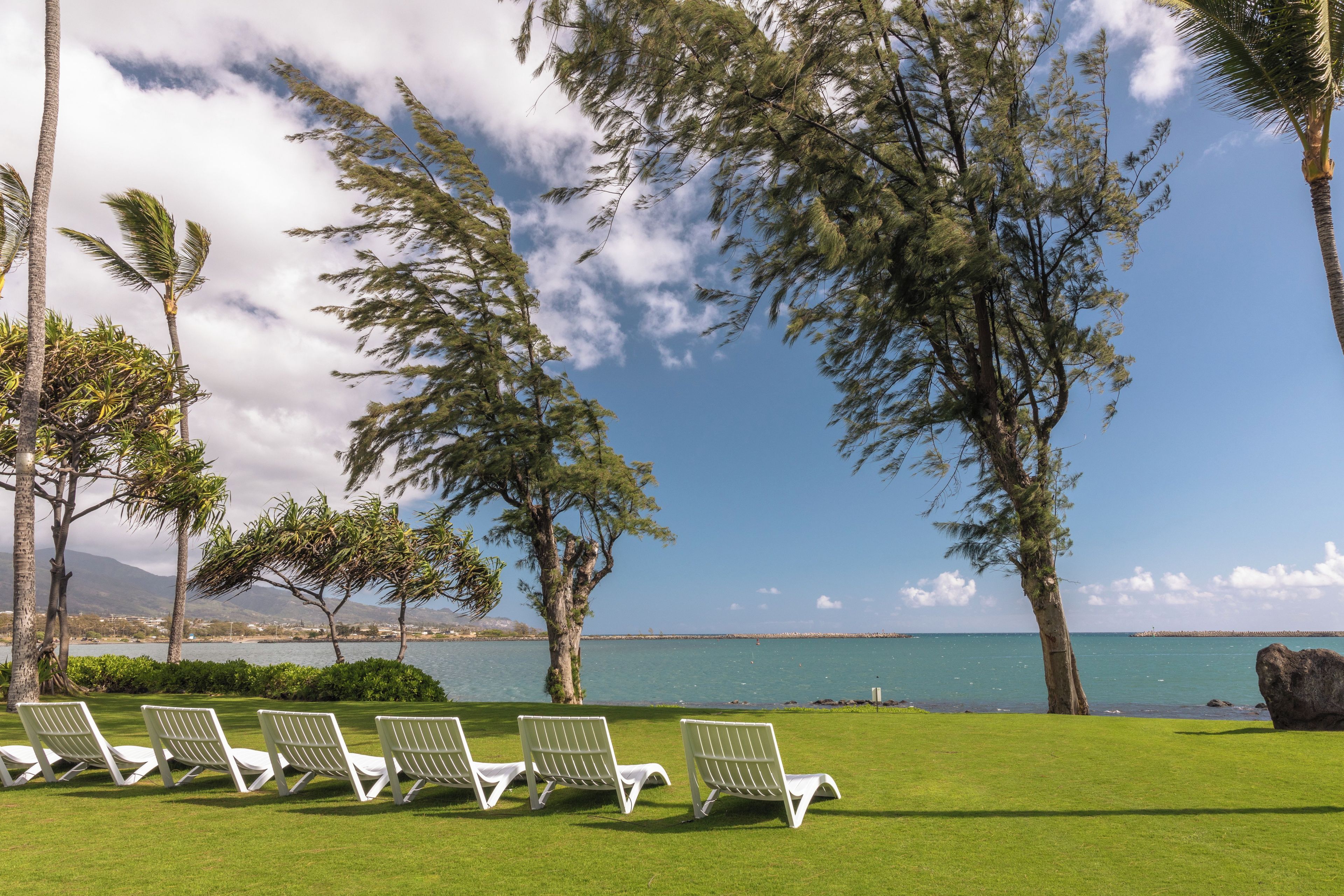 A grassy area with white lounge chairs and a view of the sea.